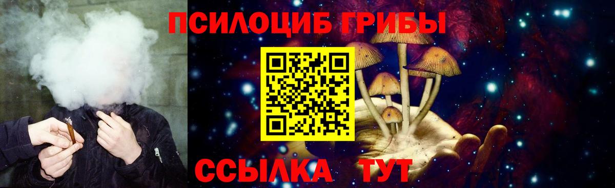 Псилоцибиновые грибы Psilocybine cubensis  Вход с VPN  Унеча 